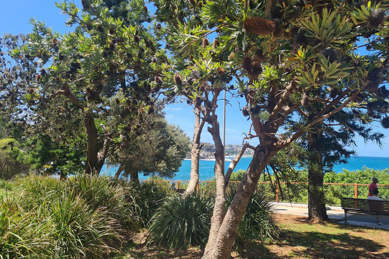 etwas oberhalb ist ein Park, hier drückt die Sonne nicht ganz so doll